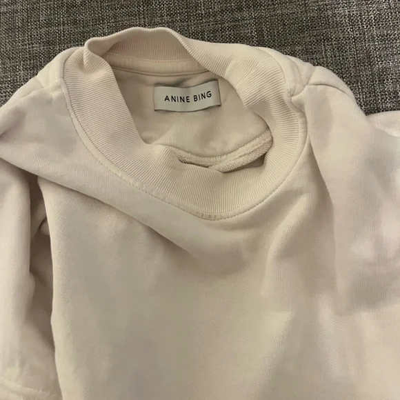 Anine Bing soft pink future heirlooms Los Angeles sweatshirt - Picture 7 of 8